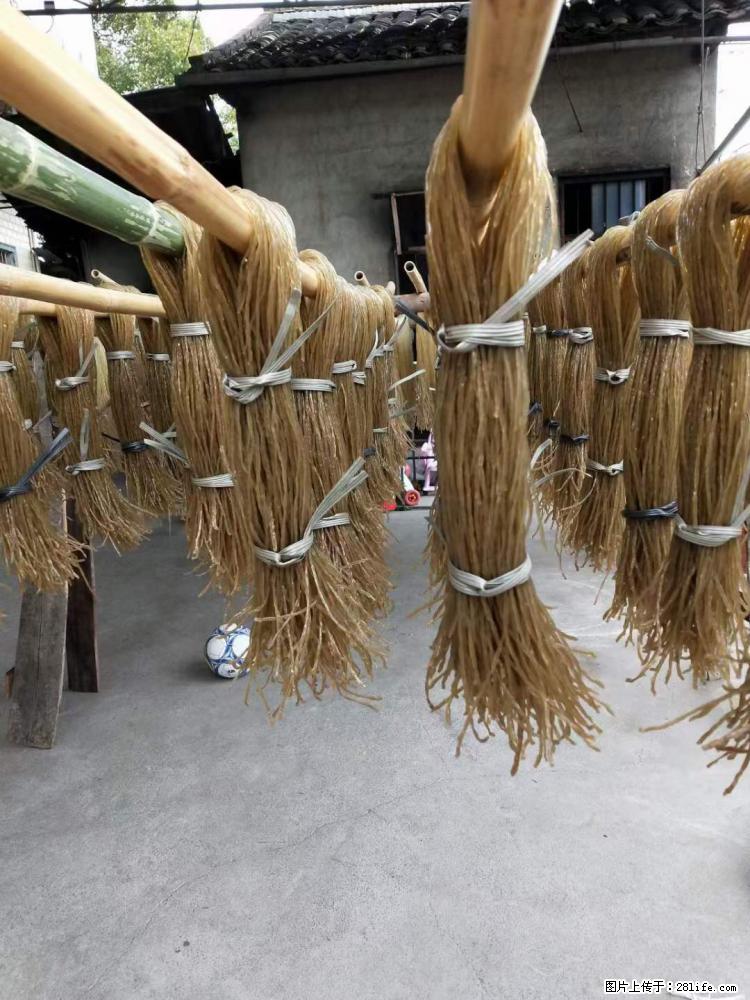 【灌阳正宗红薯粉】美女家里自己做的，干净卫生，假一赔十，价格合理，抢购电话：13737312895 - 美食天地 - 烟台生活社区 - 烟台28生活网 yt.28life.com