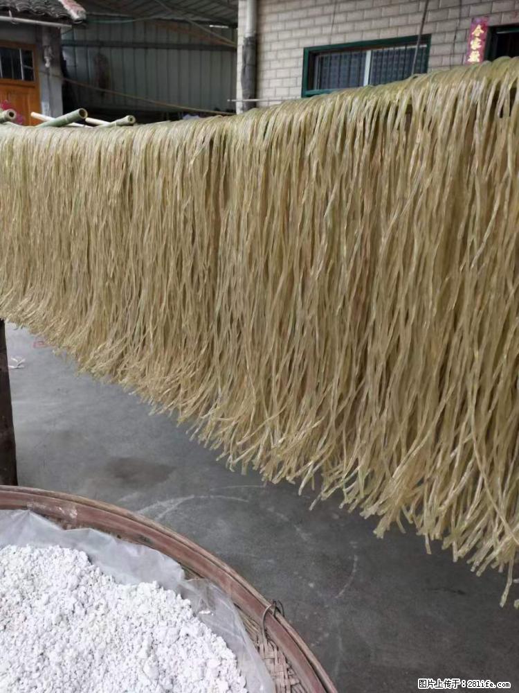 【灌阳正宗红薯粉】美女家里自己做的，干净卫生，假一赔十，价格合理，抢购电话：13737312895 - 美食天地 - 烟台生活社区 - 烟台28生活网 yt.28life.com