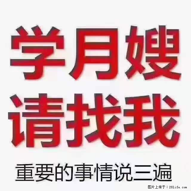 为什么要学习月嫂,育婴师? - 新手上路 - 烟台生活社区 - 烟台28生活网 yt.28life.com