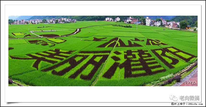 【春天,广西桂林灌阳县向您发出邀请!】开篇 - 游山玩水 - 烟台生活社区 - 烟台28生活网 yt.28life.com