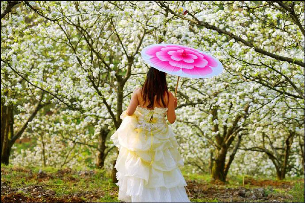 【春天,广西桂林灌阳县向您发出邀请!】我们在灌阳看梨花 - 游山玩水 - 烟台生活社区 - 烟台28生活网 yt.28life.com