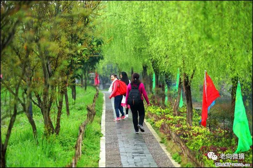 【春天,广西桂林灌阳县向您发出邀请!】江口老街又逢春 - 游山玩水 - 烟台生活社区 - 烟台28生活网 yt.28life.com