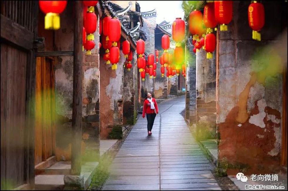 【春天,广西桂林灌阳县向您发出邀请!】江口老街又逢春 - 游山玩水 - 烟台生活社区 - 烟台28生活网 yt.28life.com