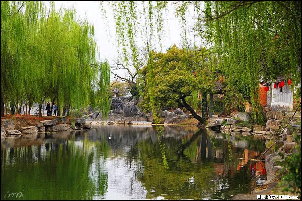 【春天,广西桂林灌阳县向您发出邀请!】江口老街又逢春 - 游山玩水 - 烟台生活社区 - 烟台28生活网 yt.28life.com