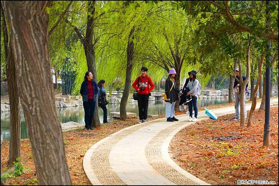 【春天,广西桂林灌阳县向您发出邀请!】江口老街又逢春 - 游山玩水 - 烟台生活社区 - 烟台28生活网 yt.28life.com