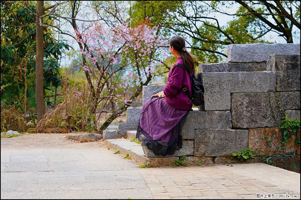 【春天,广西桂林灌阳县向您发出邀请!】江口老街又逢春 - 游山玩水 - 烟台生活社区 - 烟台28生活网 yt.28life.com