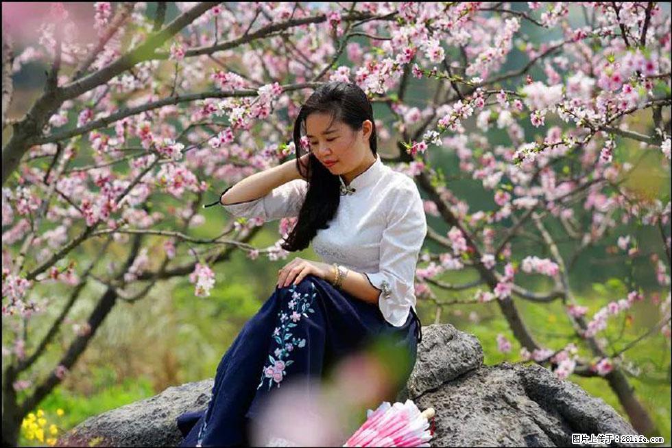 【春天,广西桂林灌阳县向您发出邀请!】望月岭上桃花开 - 游山玩水 - 烟台生活社区 - 烟台28生活网 yt.28life.com