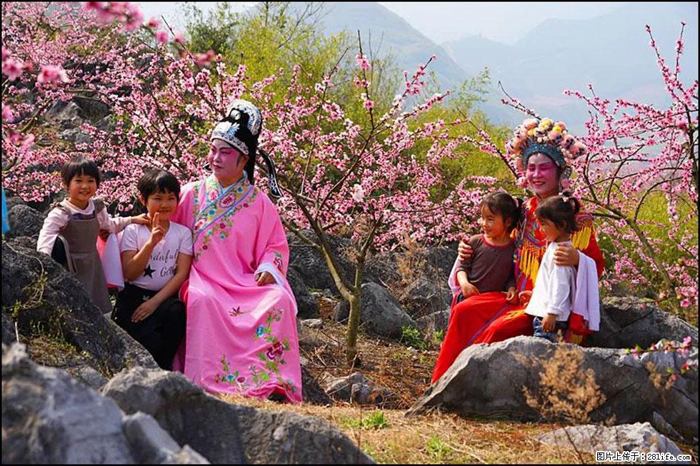 【春天,广西桂林灌阳县向您发出邀请!】望月岭上桃花开 - 游山玩水 - 烟台生活社区 - 烟台28生活网 yt.28life.com