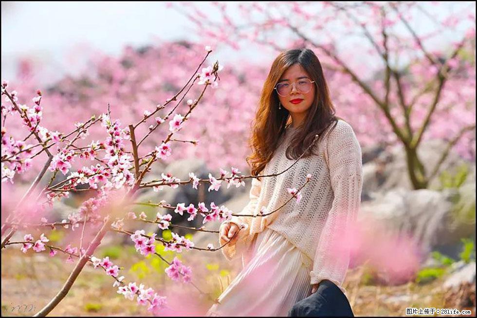 【春天,广西桂林灌阳县向您发出邀请!】望月岭上桃花开 - 游山玩水 - 烟台生活社区 - 烟台28生活网 yt.28life.com