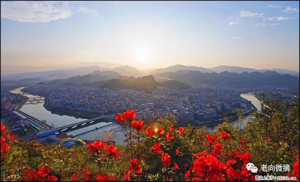 【春天,广西桂林灌阳县向您发出邀请!】登麒麟山,相约映山红 - 游山玩水 - 烟台生活社区 - 烟台28生活网 yt.28life.com