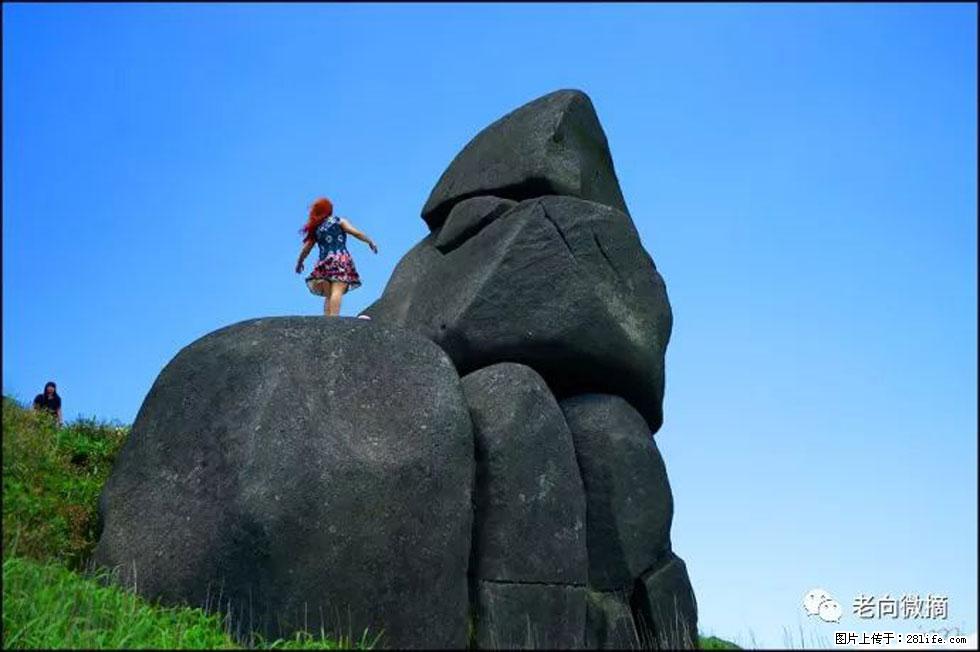 【春天，广西桂林灌阳县向您发出邀请！】宝盖山上映山红 - 游山玩水 - 烟台生活社区 - 烟台28生活网 yt.28life.com