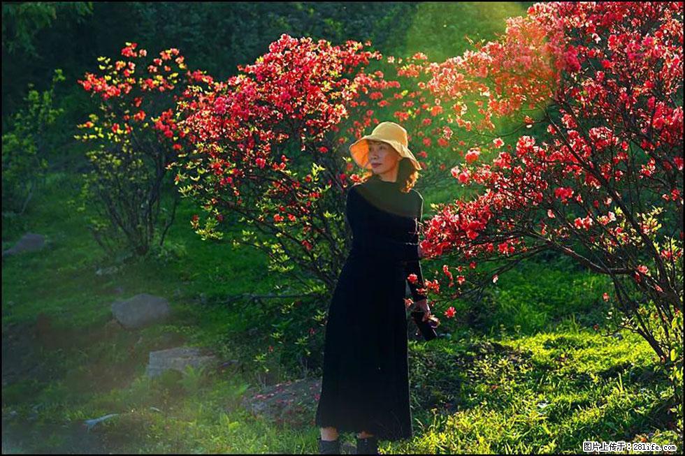 【春天，广西桂林灌阳县向您发出邀请！】春木界上映山红 - 游山玩水 - 烟台生活社区 - 烟台28生活网 yt.28life.com