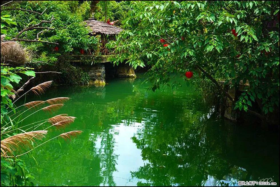 【春天，广西桂林灌阳县向您发出邀请！】如梦似幻莲溪庐 - 游山玩水 - 烟台生活社区 - 烟台28生活网 yt.28life.com