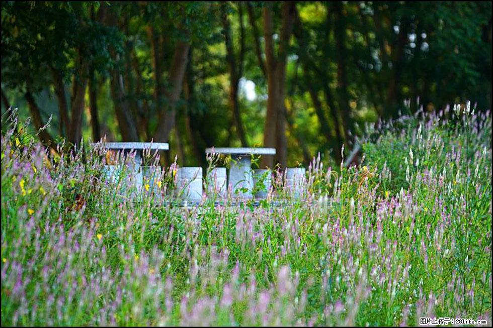 【春天,广西桂林灌阳县向您发出邀请!】熊家寨湿地公园 - 游山玩水 - 烟台生活社区 - 烟台28生活网 yt.28life.com