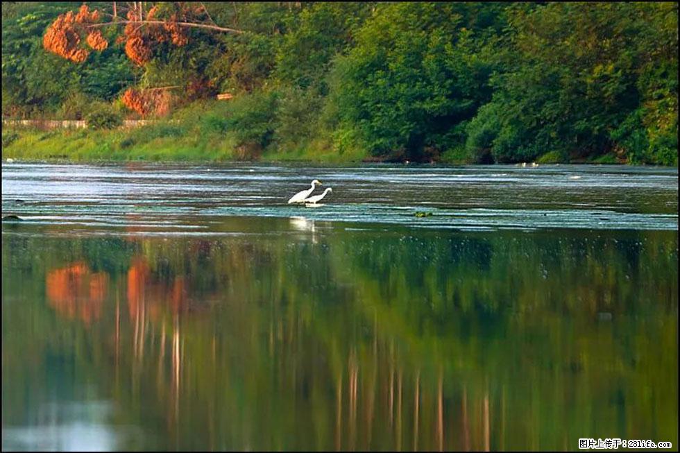 【春天,广西桂林灌阳县向您发出邀请!】熊家寨湿地公园 - 游山玩水 - 烟台生活社区 - 烟台28生活网 yt.28life.com