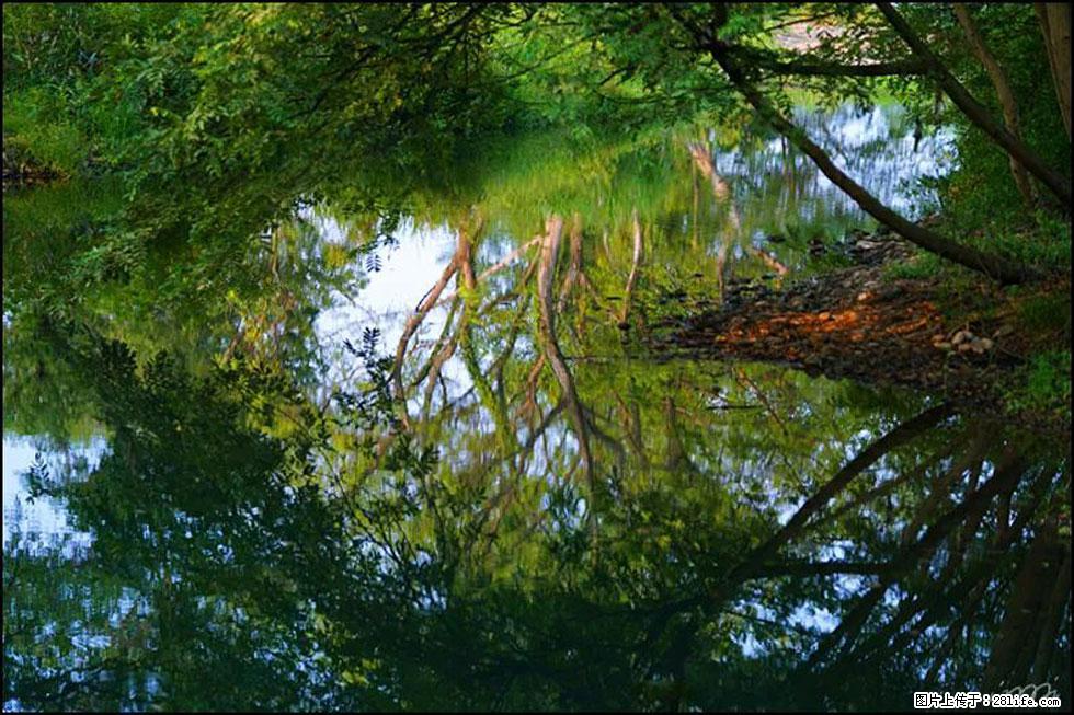 【春天,广西桂林灌阳县向您发出邀请!】熊家寨湿地公园 - 游山玩水 - 烟台生活社区 - 烟台28生活网 yt.28life.com