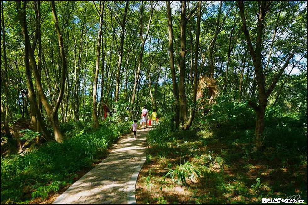 【春天,广西桂林灌阳县向您发出邀请!】熊家寨湿地公园 - 游山玩水 - 烟台生活社区 - 烟台28生活网 yt.28life.com