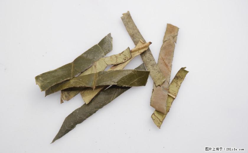 苦丁茶有哪些功效和作用 - 生活百科 - 烟台生活社区 - 烟台28生活网 yt.28life.com