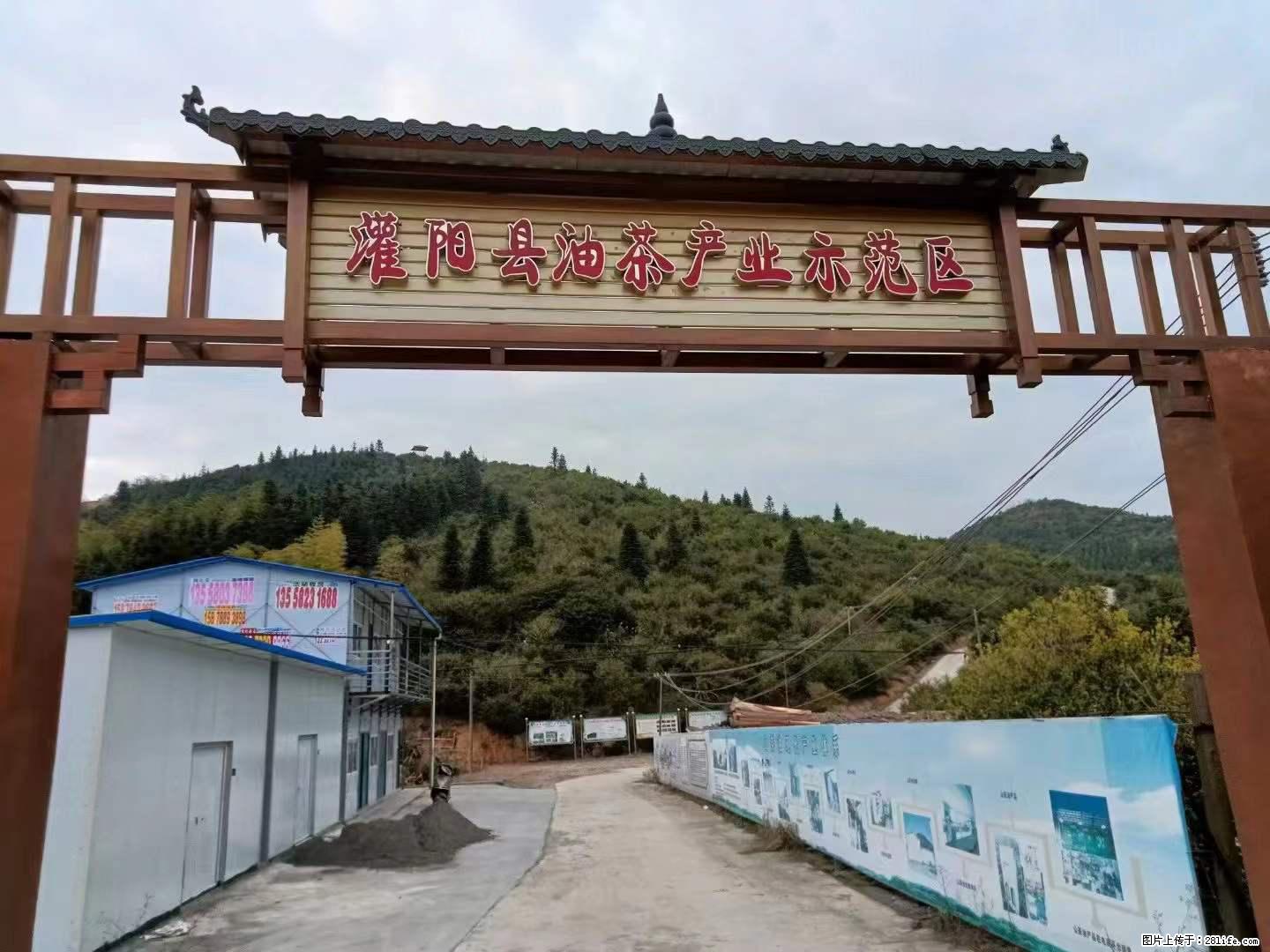 【灌阳县油茶产业示范区】一个有着充实的精神生活的人,对待身外之物自会有一种淡泊的态度 - 美食天地 - 烟台生活社区 - 烟台28生活网 yt.28life.com