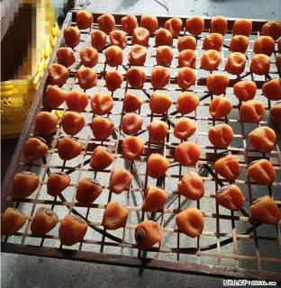 广西桂林平乐桥亭【柿饼之乡】2025年纯手工制作、无任何添加剂的第一批柿饼准备上市了，欢迎联系订购！ - 烟台28生活网 yt.28life.com