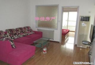 振华国际广场 精装一室一厅 家电齐全 性价比超高 随时看房 - 烟台28生活网 yt.28life.com