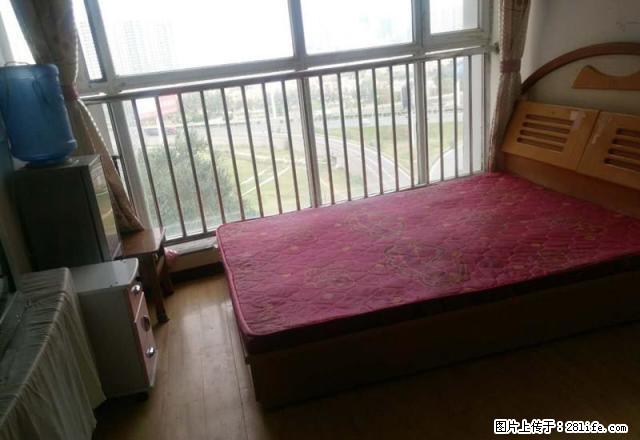 筑世家园 福海路 欧尚花园 便宜出租！采光好！拎包住！ - 房屋出租 - 房屋租售 - 烟台分类信息 - 烟台28生活网 yt.28life.com