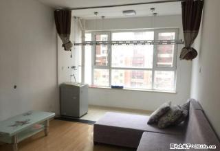 富士康 越秀 澎湖湾 精装两室只租1300 实图 可租半年 - 烟台28生活网 yt.28life.com