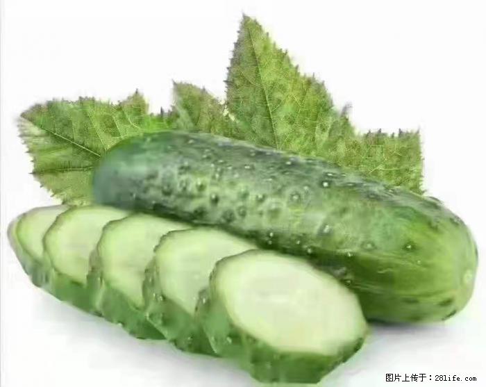 【生活小常识】吃黄瓜的好处 - 生活百科 - 烟台生活社区 - 烟台28生活网 yt.28life.com