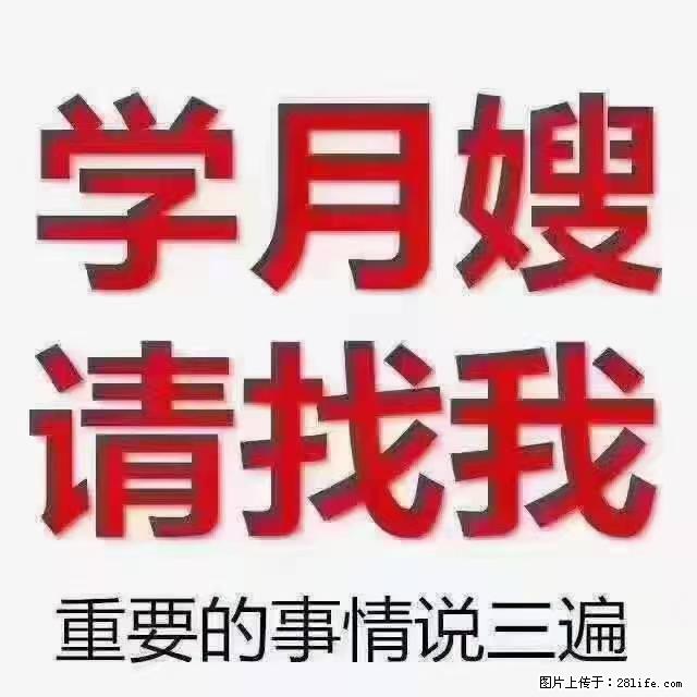 【招聘】月嫂，上海徐汇区 - 职场交流 - 烟台生活社区 - 烟台28生活网 yt.28life.com