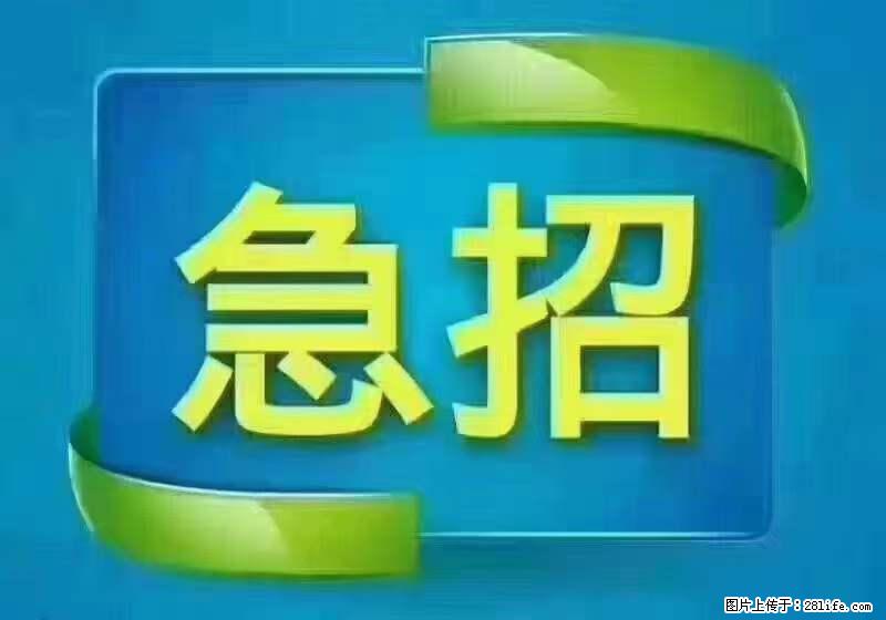 招出纳8000元/月，无证可以，要有相关经验，上海五险一金，包住，包工作餐，做六休一。 - 职场交流 - 烟台生活社区 - 烟台28生活网 yt.28life.com