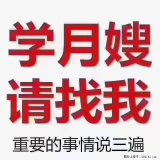 【招聘】月嫂，上海徐汇区 - 烟台28生活网 yt.28life.com
