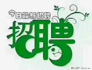 上海青浦区招仓管 - 烟台28生活网 yt.28life.com
