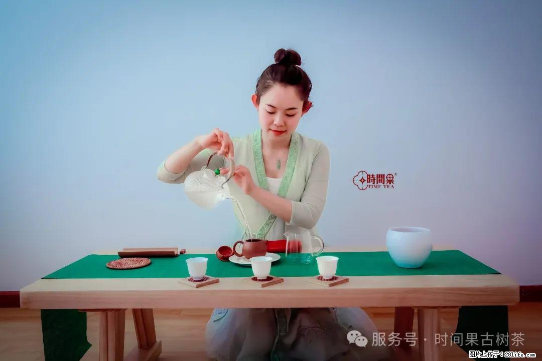 时间果百年古树龙珠普洱生茶 - 购物交流 - 烟台生活社区 - 烟台28生活网 yt.28life.com