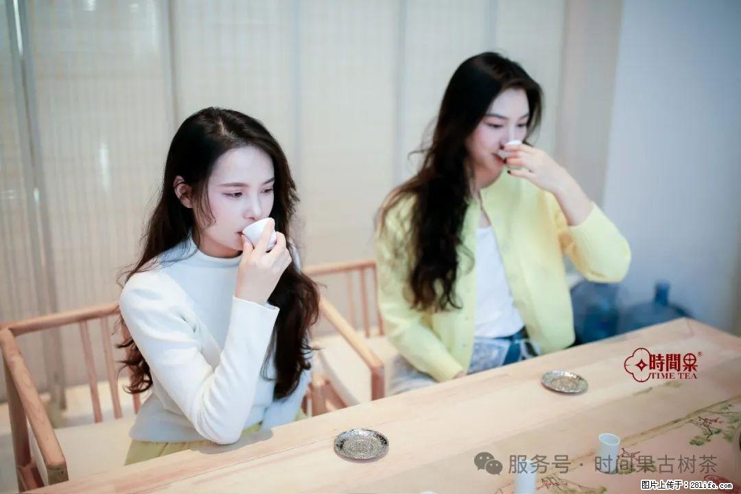 时间果百年古树龙珠普洱生茶 - 购物交流 - 烟台生活社区 - 烟台28生活网 yt.28life.com