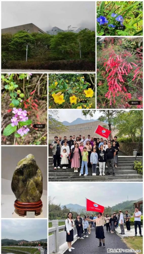 “粤灌文化 美好生活”油茶文化主题活动在广东深圳成功举办 - 烟台生活资讯 - 烟台28生活网 yt.28life.com