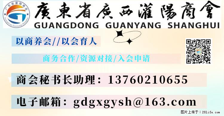 “粤灌文化 美好生活”油茶文化主题活动在广东深圳成功举办 - 烟台生活资讯 - 烟台28生活网 yt.28life.com