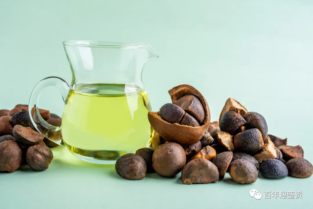 世界没有真相，只有认知，最好的食用油是中国的山茶油！ - 烟台生活资讯 - 烟台28生活网 yt.28life.com
