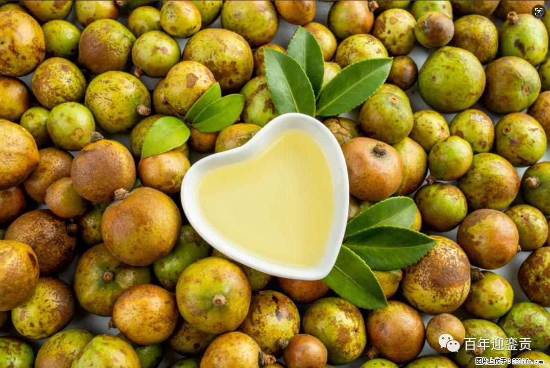 世界没有真相，只有认知，最好的食用油是中国的山茶油！ - 烟台生活资讯 - 烟台28生活网 yt.28life.com