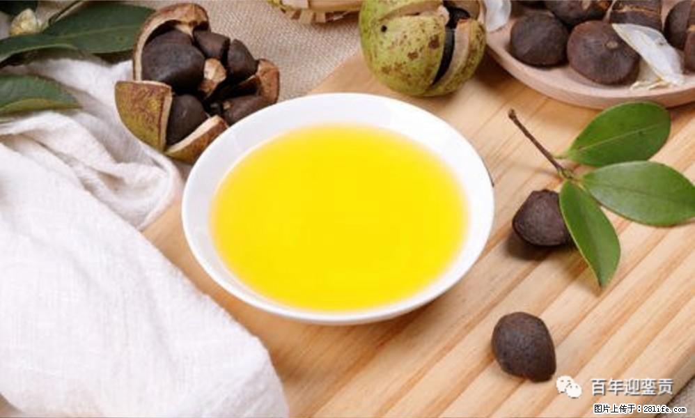 世界没有真相，只有认知，最好的食用油是中国的山茶油！ - 烟台生活资讯 - 烟台28生活网 yt.28life.com