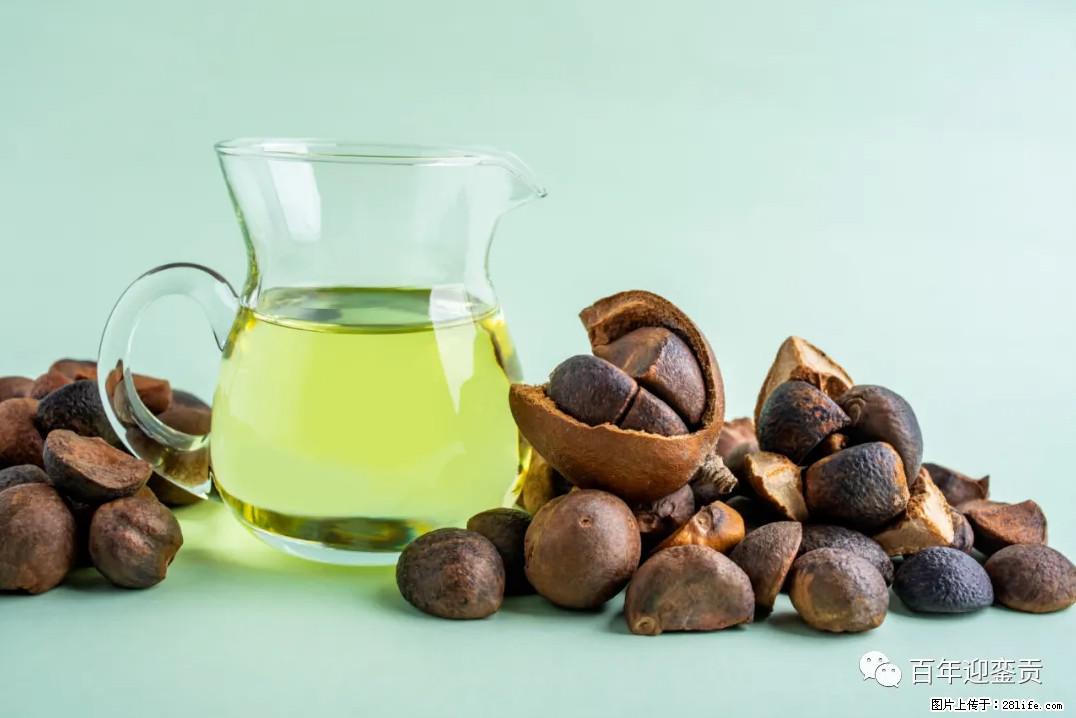 世界没有真相,只有认知,最好的食用油是中国的山茶油! - 烟台生活资讯 - 烟台28生活网 yt.28life.com