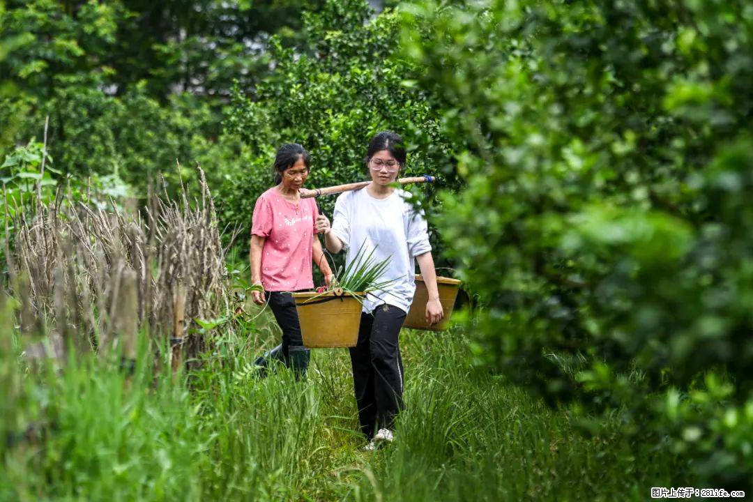 全网追的“扁担女孩”，找了一份暑假工，时薪12元 - 烟台生活资讯 - 烟台28生活网 yt.28life.com