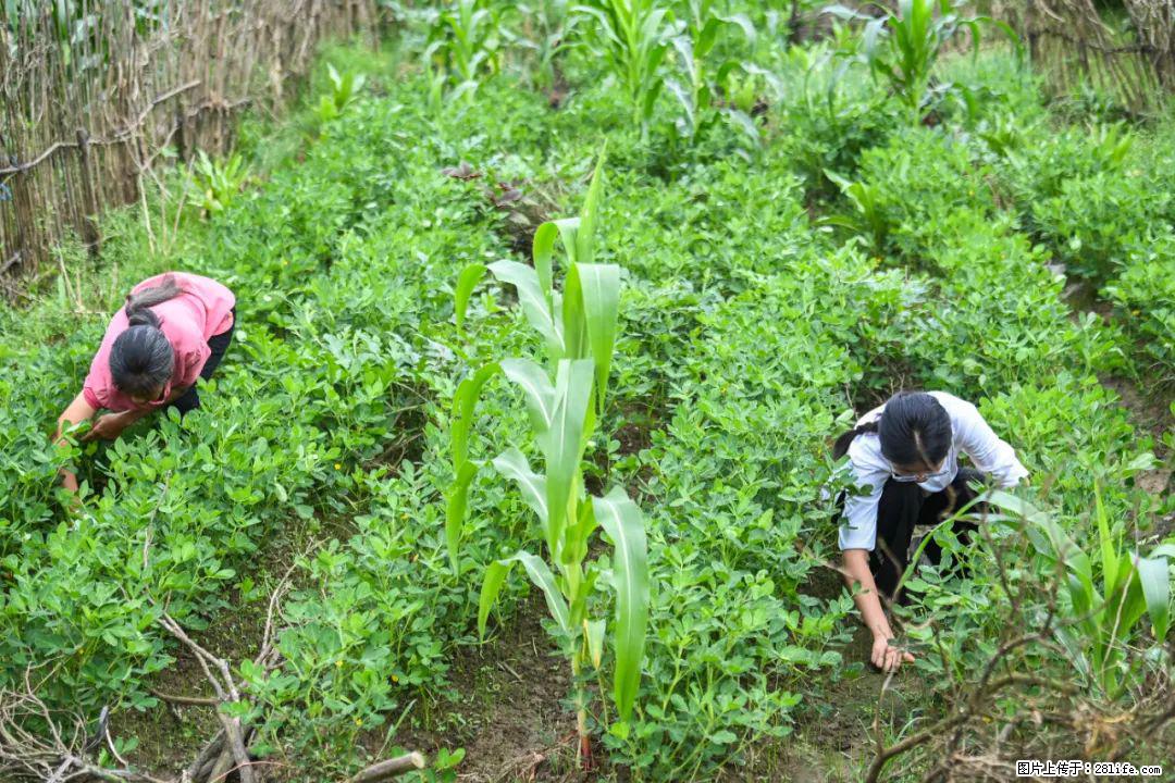 全网追的“扁担女孩”，找了一份暑假工，时薪12元 - 烟台生活资讯 - 烟台28生活网 yt.28life.com