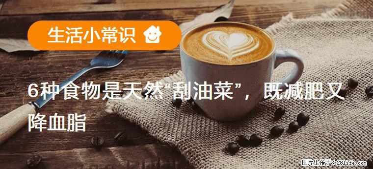 【生活小常识】6种食物是天然“刮油菜”，既减肥又降血脂 - 烟台生活资讯 - 烟台28生活网 yt.28life.com