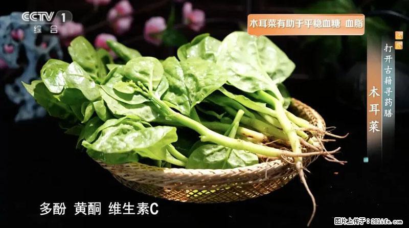 比牛奶补钙还厉害！凉血解毒、稳血糖...这菜冬天必吃，很多人却当草 - 烟台生活资讯 - 烟台28生活网 yt.28life.com