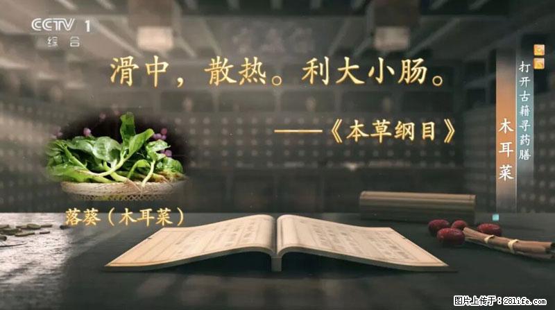 比牛奶补钙还厉害！凉血解毒、稳血糖...这菜冬天必吃，很多人却当草 - 烟台生活资讯 - 烟台28生活网 yt.28life.com