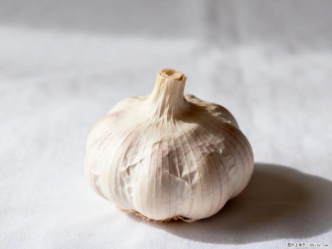 关于大蒜，除了“天然抗生素”，这4个谣言更该警惕! - 烟台生活资讯 - 烟台28生活网 yt.28life.com
