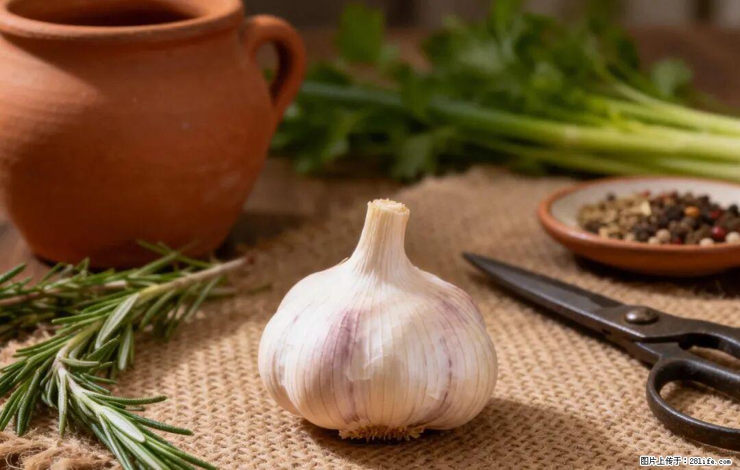 关于大蒜，除了“天然抗生素”，这4个谣言更该警惕! - 烟台生活资讯 - 烟台28生活网 yt.28life.com