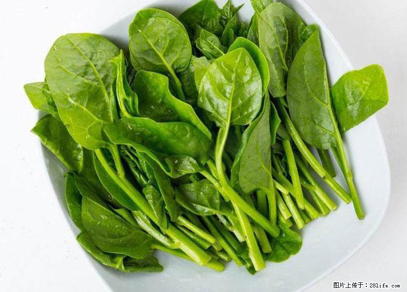 这些蔬菜是“天然钙片”,这6种被医生重点推荐 - 烟台生活资讯 - 烟台28生活网 yt.28life.com