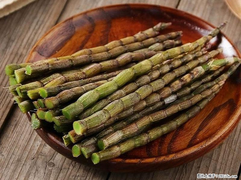 铁皮石斛的作用与功能主治 - 烟台生活资讯 - 烟台28生活网 yt.28life.com