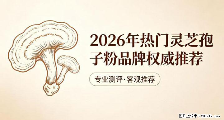 灵芝孢子粉含量越高越有效？2026 年七款热门品牌深度实测，肠胃敏感者避坑指南 - 烟台生活资讯 - 烟台28生活网 yt.28life.com